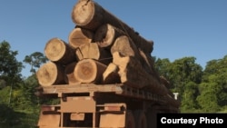 The UN said in 2012 that between 30 and 100 billion dollars are lost each year to the illegal trade in timber.