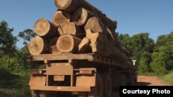 FILE - Trees are trucked out of the rainforest in this file photo. Brazil's largest grocery chain has pledged to stop selling beef produced on deforested land in the Amazon rainforest.