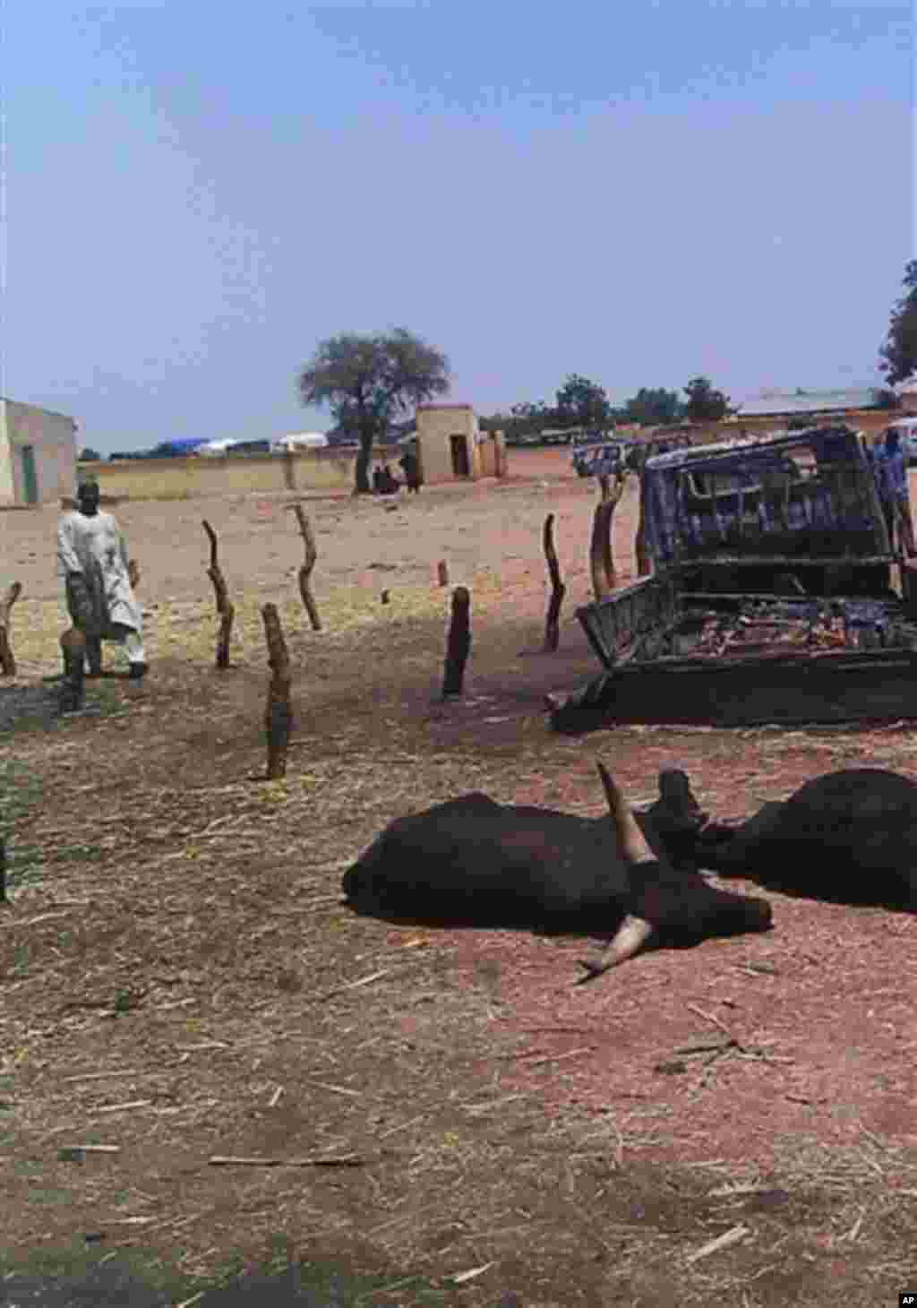 Burnt out cars and dead animals are seen Thursday, May 3, 2012 following a raid by gunmen in a cattle market in Potiskum, Nigeria. At least 34 people were killed after a failed cattle raid Wednesday in a northeast Nigeria market sparked a retaliatory att