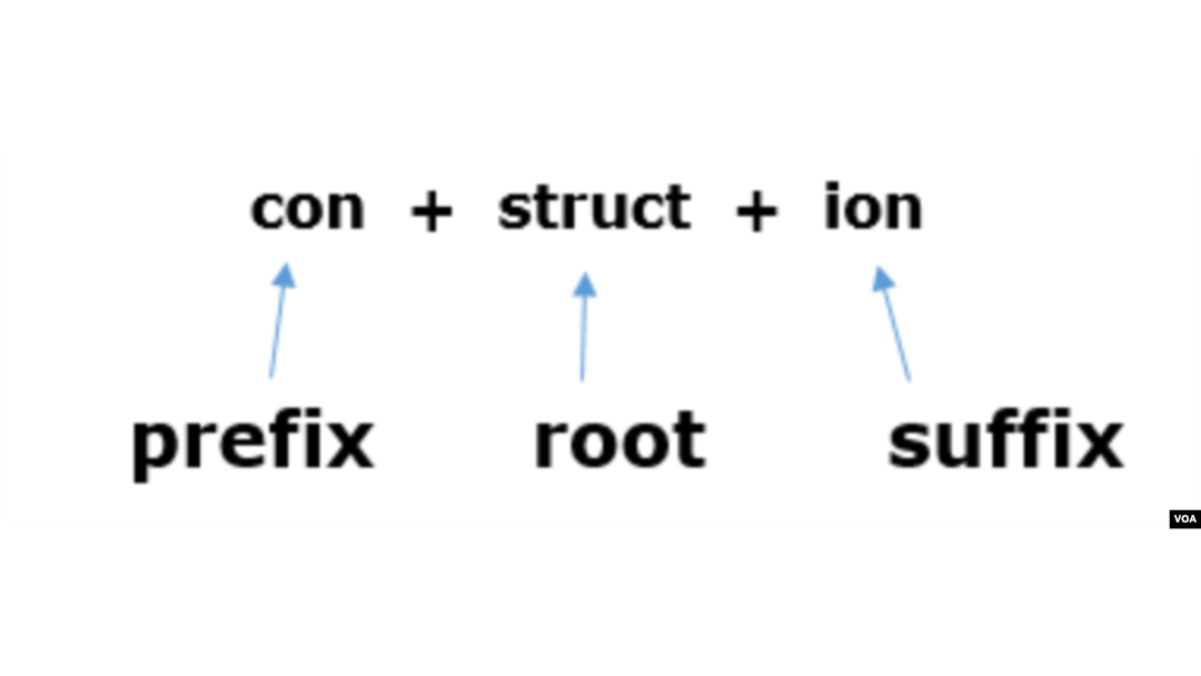 Grow Your Vocabulary By Learning Root Words