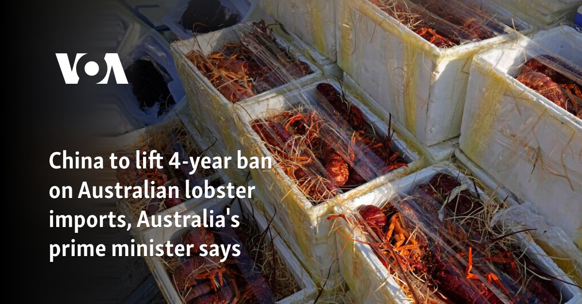 China to lift 4-year ban on Australian lobster imports, Australia's prime minister says