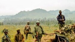 L'armée congolaise dit avoir tué des membres du groupe armé ADF