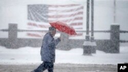 Manchester dans le New Hampshire, le 5 février 2016. (AP Photo/Matt Rourke) 