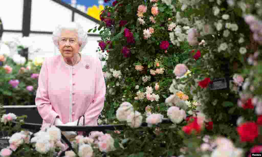 حضور ملکه الیزابت در نمایشگاه گل چلسی لندن &nbsp;