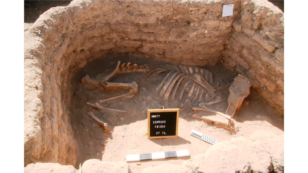 Sebuah foto selebaran tak bertanggal yang dirilis Kamis, 8 April 2021 oleh Zahi Hawass Center For Egyptology menunjukkan penemuan arkeologi sebagai bagian dari 'Kota Emas yang Hilang' di Luxor, Mesir. (Foto: Zahi Hawass Center For Egyptology via AP)