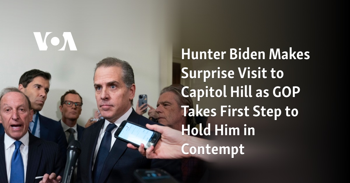 Hunter Biden Makes Surprise Visit to Capitol Hill as GOP Takes First ...