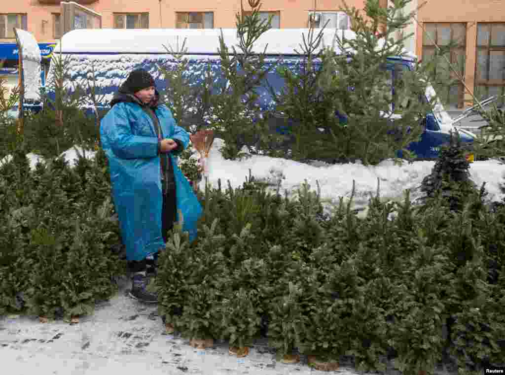 A street vendor waits for customers to sell Christmas trees in Kyiv, Ukraine, Dec. 25, 2018.