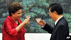 Brazilian President Dilma Rousseff (l) toasts with China's President Hu Jintao after a signing ceremony held at the Great Hall of the People in Beijing, April 12, 2011