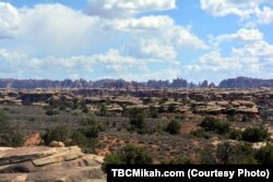 In The Needles district of Canyonlands National Park, spires of Cedar Mesa Sandstone rise hundreds of meters above a network of canyons and grasslands.