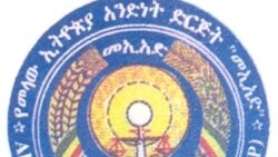 መኢአድ ስለ “ተሃድሶ”ው