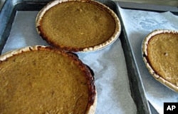 The Pilgrims and Indians had pumpkins and other gourds, but no real way to make pies out of them. Even mashed, boiled pumpkin innards would not have tasted very good without sugar