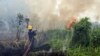 Kebakaran Hutan dan Lahan Diperkirakan Berakhir Akhir Oktober