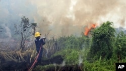 Petugas berusaha memadamkan kebakaran hutan di Pekanbaru, Riau. (Foto: Dok)