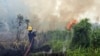 Walhi: Sumatera Kembali Hadapi Ancaman Kebakaran Lahan