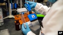 Scientists at the Africa Health Research Institute in Durban, South Africa, work on the omicron variant of the COVID-19 virus, Dec. 15, 2021.