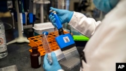 Scientists at the Africa Health Research Institute in Durban, South Africa, work on the omicron variant of the COVID-19 virus, Dec. 15, 2021.