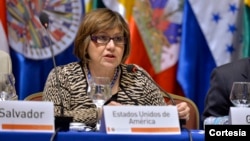 La Embajadora de Estados Unidos ante la OEA, Carmen Lomellin conversó con la Voz de América sobre los temas tratados en la Asamblea General de la OEA, en Paraguay.