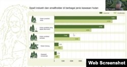 Grafis sebaran sawit.