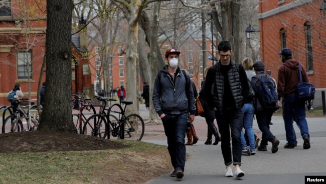 하버드대학교 학생들이 교정을 걷고 있다. (자료사진)