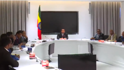 ጠ/ሚ ዐቢይ መሰረታቸውን በኦሮምያና አማራ ክልሎች ካደረጉ ፓርቲዎች ጋር ተወያዩ
