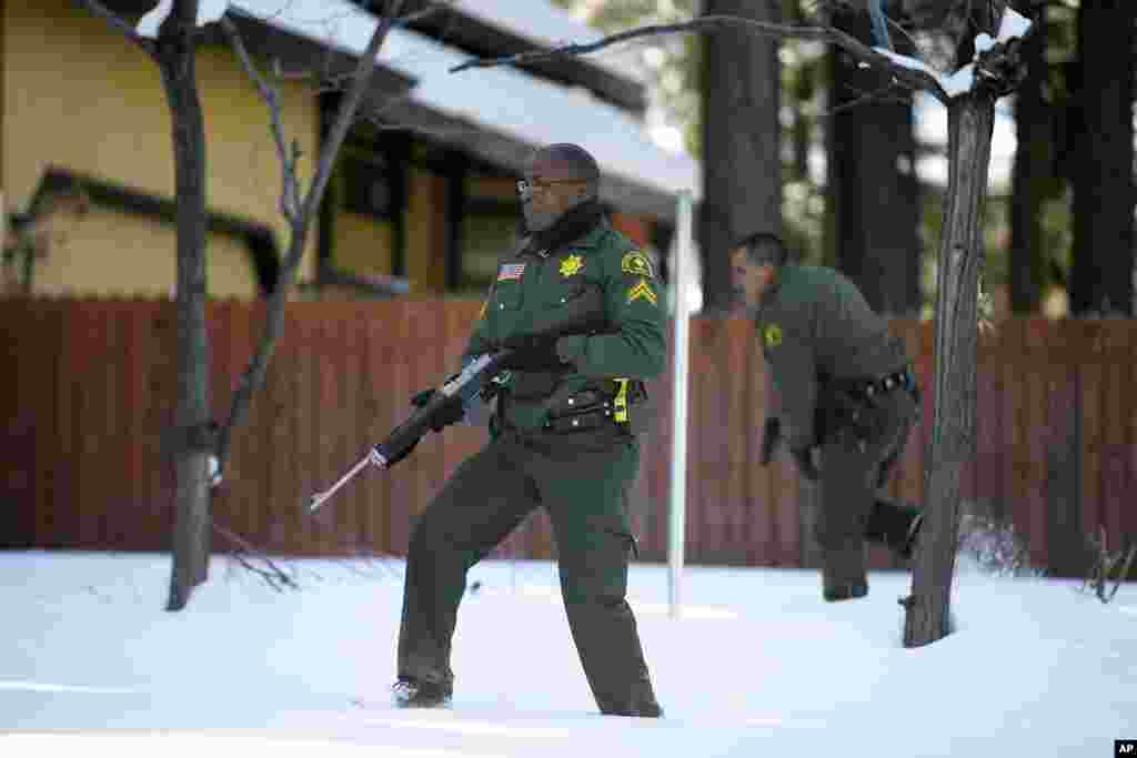 圣贝纳迪县警长的人员2013年2月10日在加利福尼亚州的大熊湖搜索前洛杉矶警官克里斯托弗.多尔纳的一处住屋。