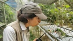 Vicky Ossio cuida a cientos de animales en el refugio de Senda Verde, Bolivia.