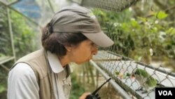 Vicky Ossio cuida a cientos de animales en el refugio de Senda Verde, Bolivia.