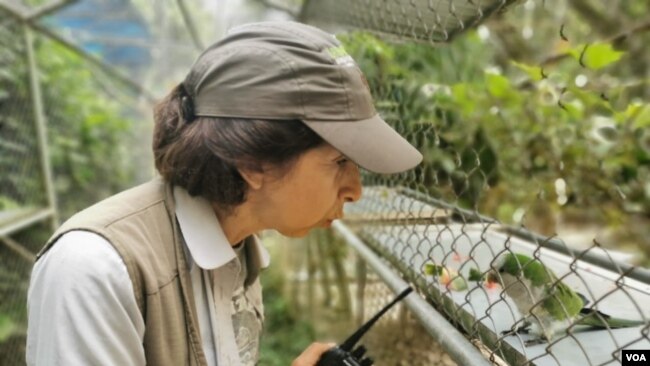 Vicky Ossio cuida a cientos de animales en el refugio de Senda Verde, Bolivia.