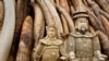 China Permits Some Trade in Tiger, Rhino Parts
