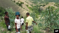 Villagers water trees on a volunteer work day.