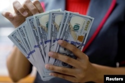 Seorang pegawai valas di perusahaan penukaran valas di Jakarta sedang menghitung uang dollar, 23 Oktober 2018. (Foto: Reuters)