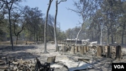 Taman Bastrop di Texas luluh lantak dalam kebakaran hebat September 2011 lalu, yang merupakan yang terburuk di negara bagian Texas.