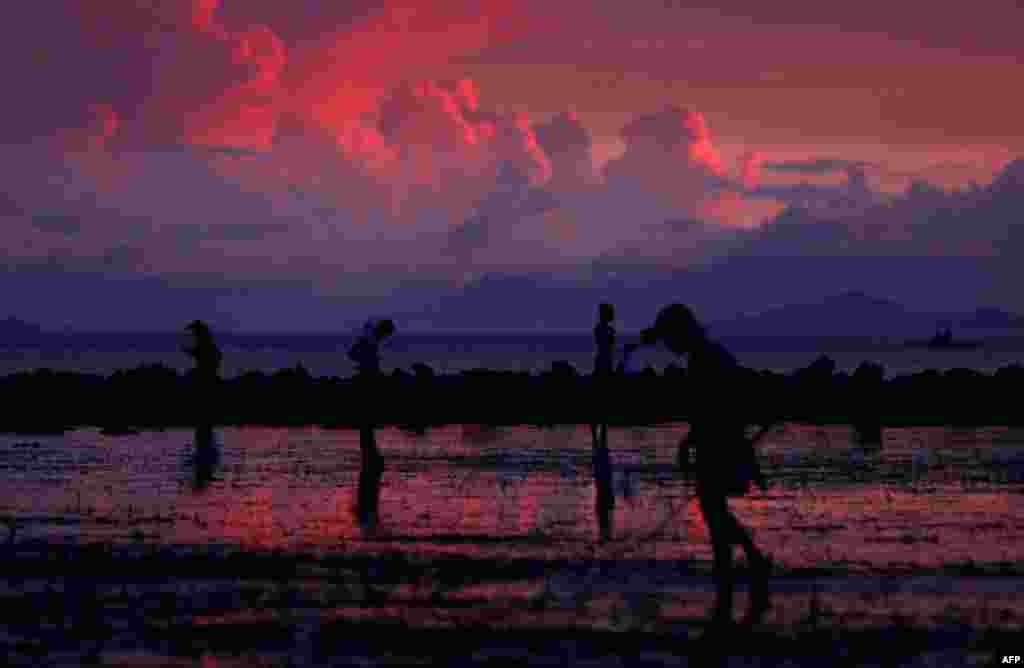 June 1: Residents look for fish during sunset in the shallow waters of Mogpog town in Marinduque island, south of Manila. (Reuters)