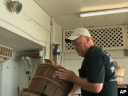 G.W. Hall & Son owner Brian Hall receives up to 700 bushels of crabs daily at his Maryland processing plant.