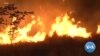 Brazilians Worry Fire Season Will Bring Even More Forest Destruction