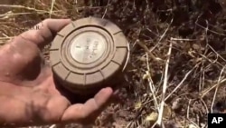 In this still image made from video taken Sept. 7, 2015 provided by the Syrian Center for Demining and Rehabilitation, a volunteer deminer takes a landmine from the ground in Daraa, Syria.