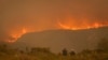 (arquivo) Incêndio de Kranshoek, na província do Cabo Ocidental, matando várias pessoas, destruindo casas e obrigando à evacuação de cerca de 10 000 pessoas (Junho 2017)