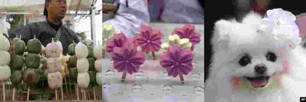 In this combination of photos showing cherry blossom themed treats and trinkets in Tokyo, Beijing, and Seoul, from left to right: Rice dumplings, including one in pink, are sold at a park in Tokyo, March 31, 2017, cherry flower-shaped popsicles are sold at the Yuyuantan Cherry Blossom festival in Beijing, March 25, 2017; a dog wears a cherry blossom-shaped pin in Seoul, April 9, 2017. &nbsp;