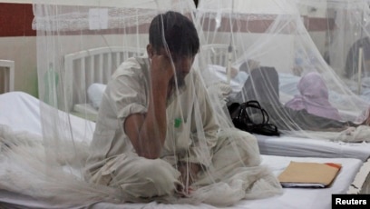 Pbb Who Peringatkan Ancaman Penyakit Yang Ditularkan Lewat Hewan