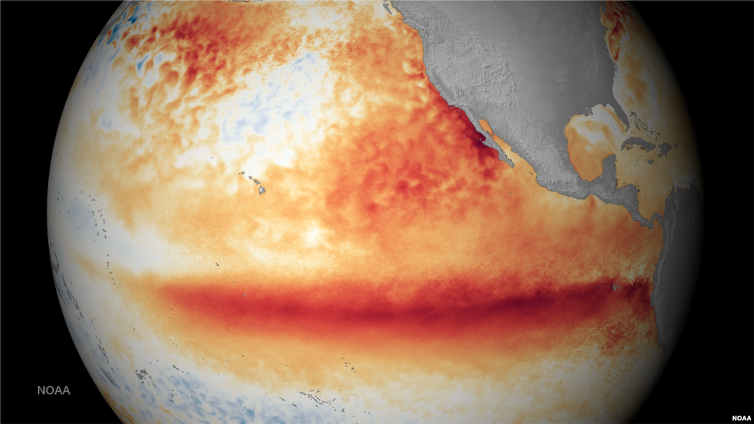 This image shows the satellite sea surface temperature departure for the month of October 2015, where orange-red colors are above normal temperatures and are indicative of El Niño.