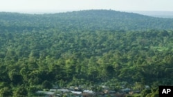 An aerial view of a settlement in Mabira Forest Reserve, 55km (34 miles) east of the capital Kampala, April 21, 2007.