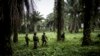 Des groupes armés ont tué 1.900 civils en deux ans au Kivu