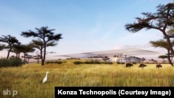 An artist's rendering shows a concept for the Pavilion area of the Konza Technopolis.