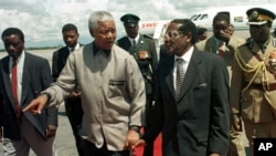 Ông Mandela (trái) làm tổng thống Nam Phi một nhiệm kỳ rồi về hưu còn nhà lãnh đạo Zimbabwe vẫn tại vị hơn 33 năm.