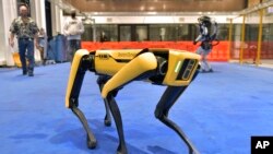 На фото: робот компанії Boston Dynamics. Січень 2021