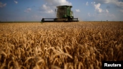 Panen gandum di sebuah lahan pertanian di Dixon, Illinois, AS. 
