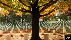 Daun-daun yang berguguran menghiasi deretan pusara di Taman Makam Pahlawan Nasional Arlington, Virginia (AP Photo/Jacquelyn Martin)