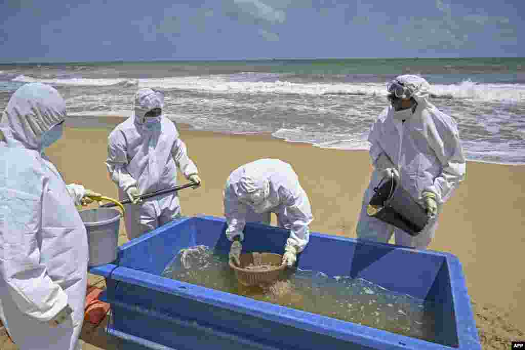 Members of the Sri Lankan Navy work to remove debris washed ashore from the Singapore-registered container ship MV X-Press Pearl, which is sinking after burning for almost three weeks in the sea off Colombo Harbor, in Colombo.