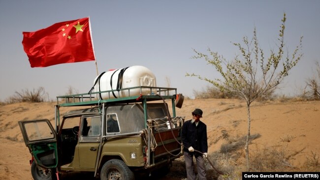 Wang Tianchang, 78, waters a tree planted on the border of the Gobi desert near Wuwei, Gansu province, China on April 15, 2021. The Wangs have been fighting desertification since they moved to the difficult land near the village of Hongshui in Wuwei in 1980. (REUTERS/Carlos Garcia Rawlins)