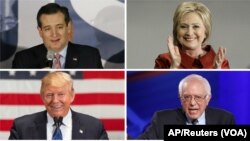 Clockwise, from top left, Texas Senator Ted Cruz, former Secretary of State Hillary Clinton, Vermont Senator Bernie Sanders and businessman Donald Trump all won contests in Saturday's presidential nominating contest, March 5, 2016.